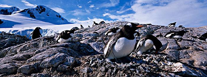 《星球大战绝地：幸存者》BUG：玩家经验值被打飞